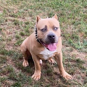 Meet your Posher, Shane